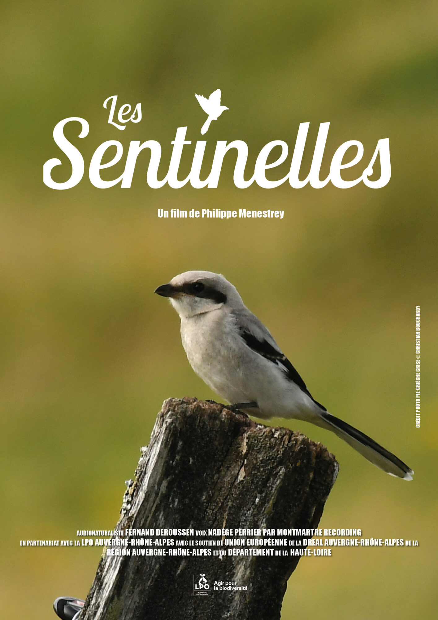 poster de Les sentinelles