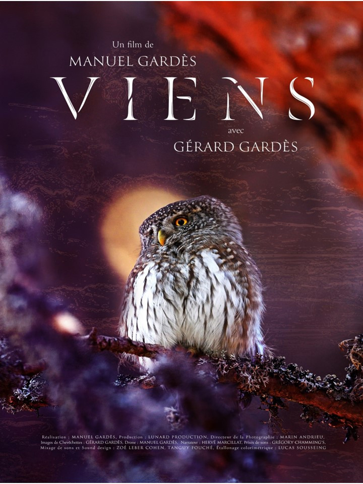poster de Viens